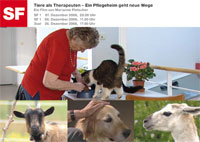 Tiere als Therapeuten - Flyer